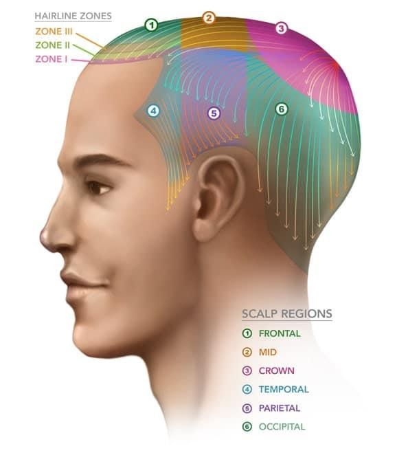 Get To Know Your Head Evolved Hair Australia
