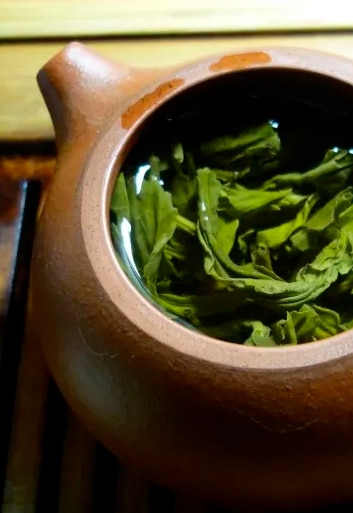 How Green Tea helps to keep your hair look healthy?